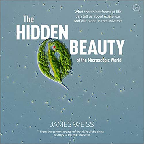 ‘The Hidden Beauty of the Microscopic World: What the tiniest forms of life can tell us about existence and our place in the universe,’